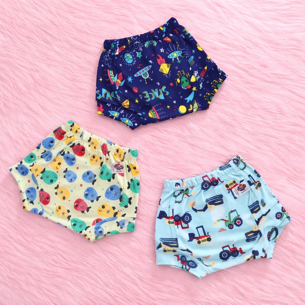 Combo of 3 Reusable Cotton Diapers Rs. 499 Only (ITEM CODE - CD3)